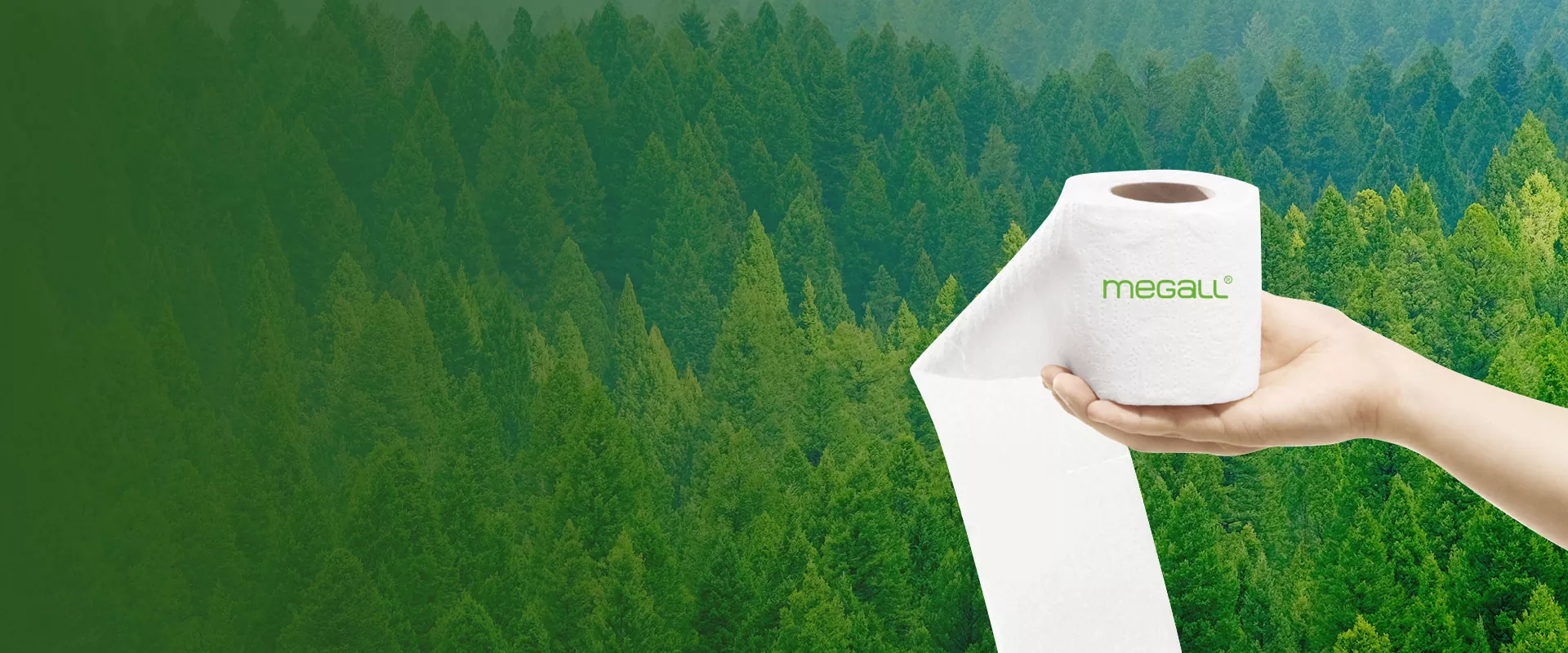 Paper sanitario hornitzailea eta fabrika