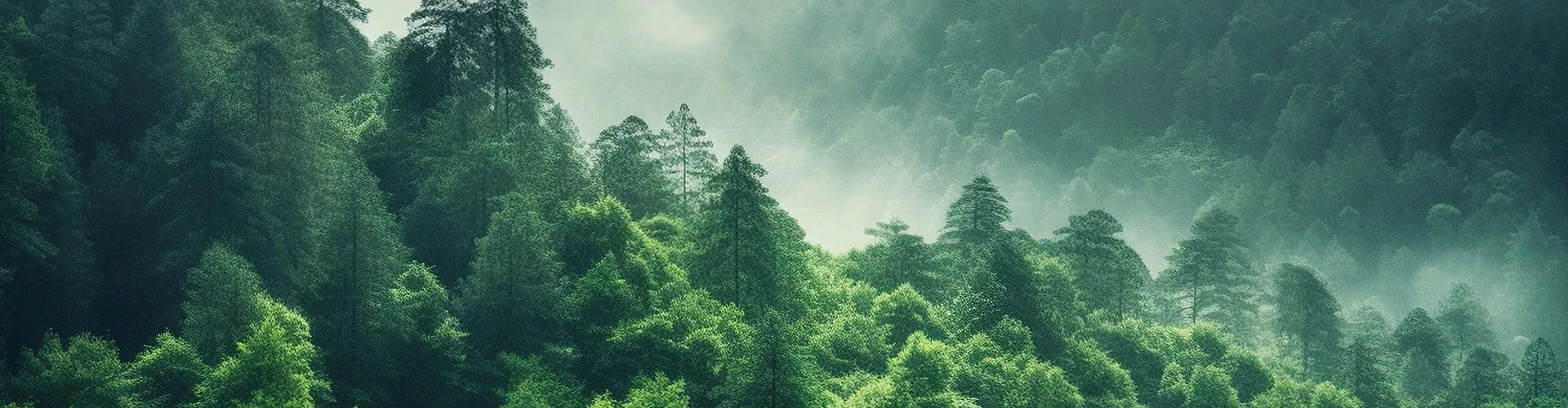 Aurrealdi