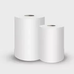 Zerk egiten du paper sanitarioa eguneroko higiene eta erosotasunerako?